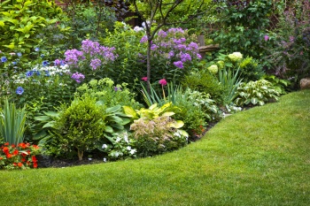 Bed Edging Services Mequon, WI