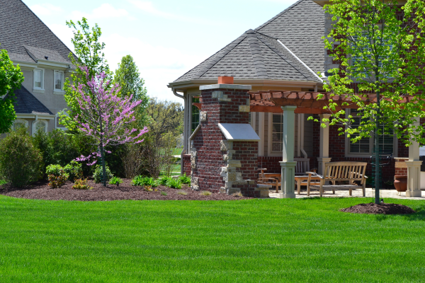 Create your dream lawn with Brookfield's Finest Lawn Leveling Service