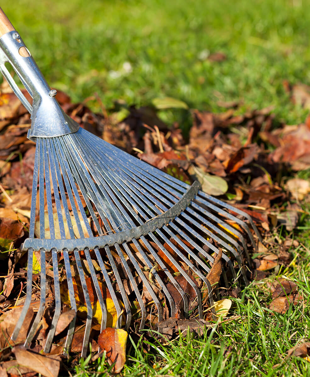 Spring & Fall Cleanup & Garden Maintenance in Mequon, WI