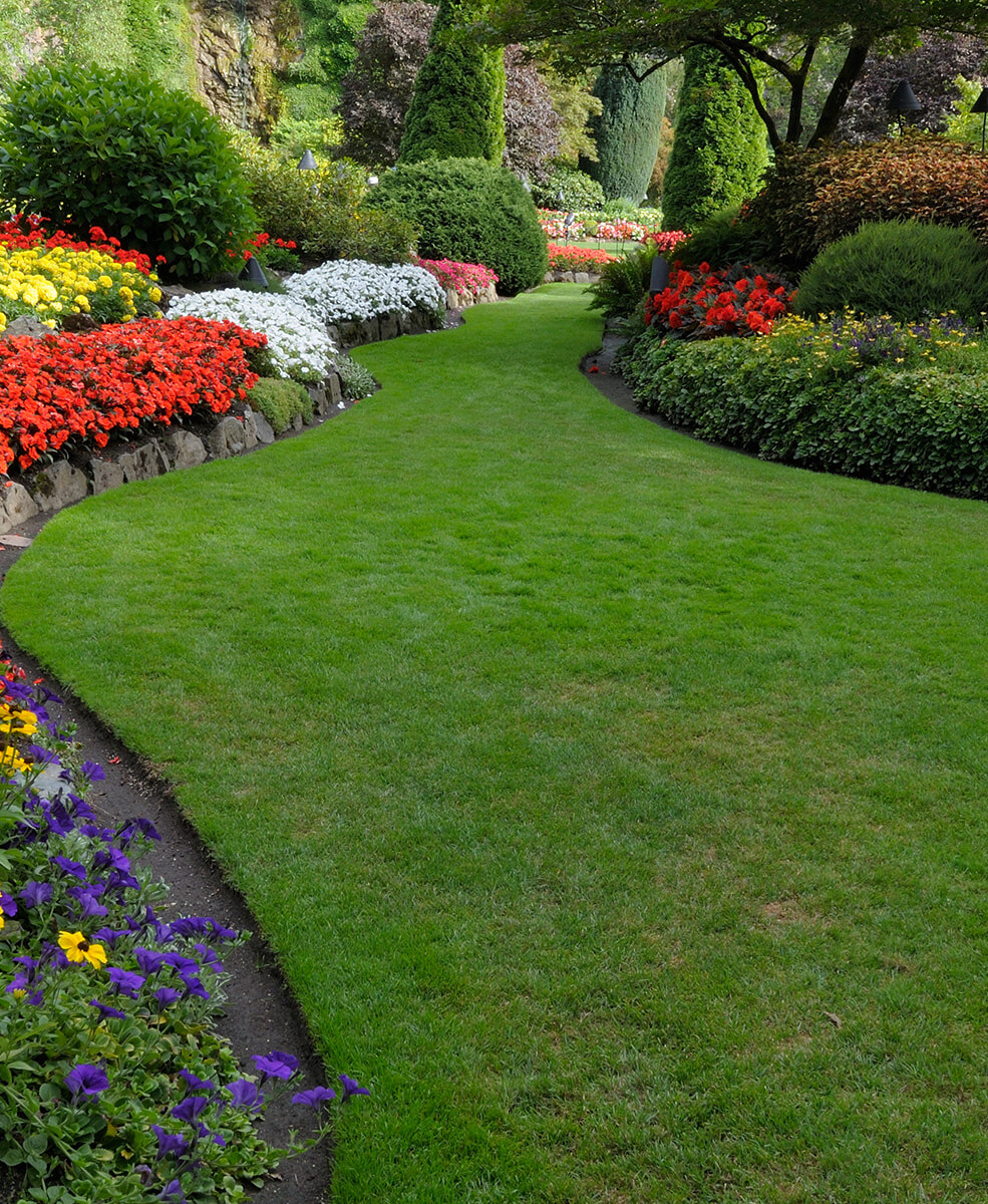 Garden & Flower Bed Edging Services