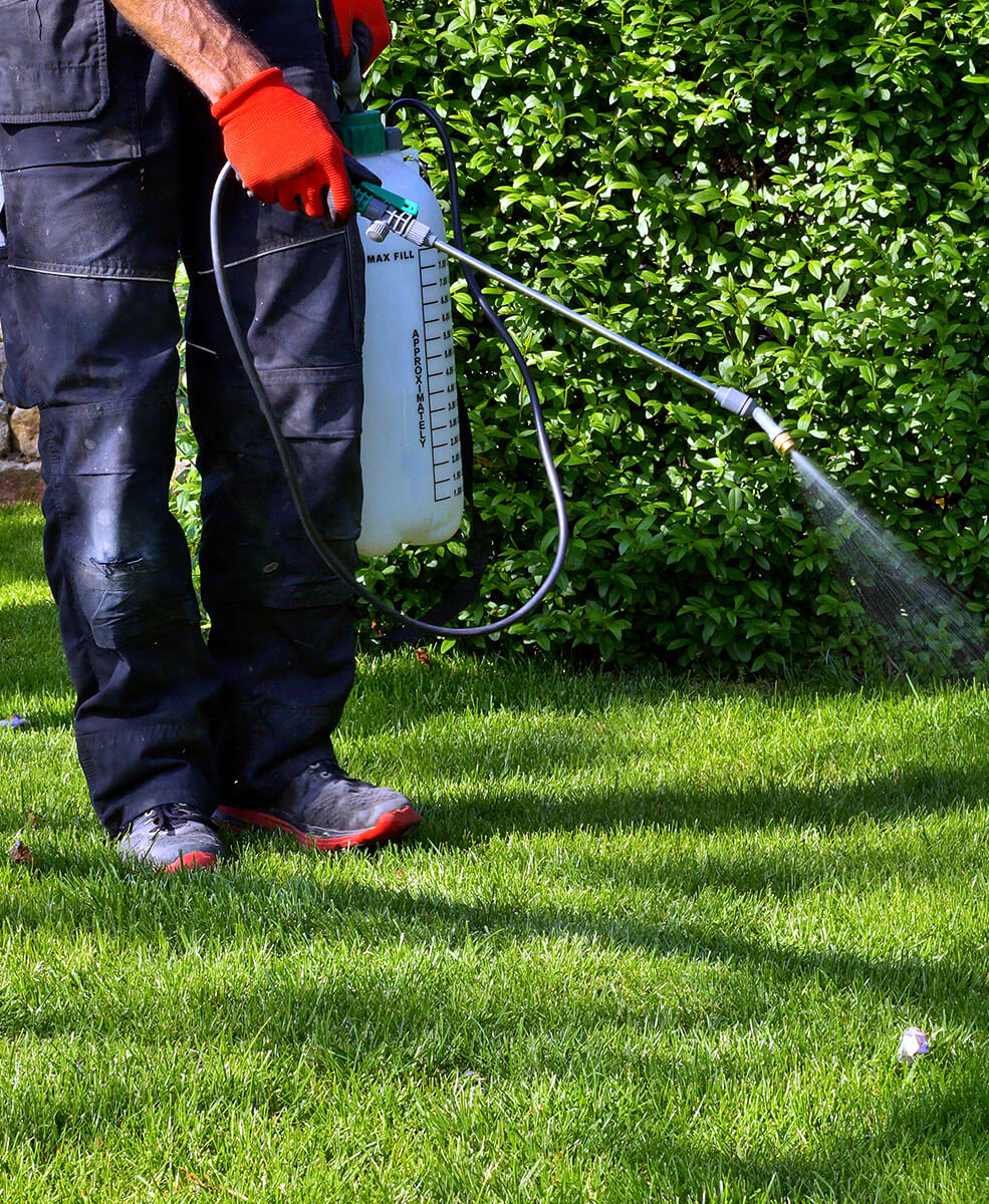 Weed Control & Landscape Maintenance in Mequon, WI