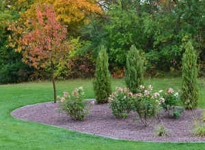 seasonal flower planting, tree planting, tree thinning and pruning services, mulching & more in Mequon, Menomonee Falls, River Hills & beyond.