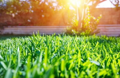 Lawn Care Fertilization southeast Wisconsin