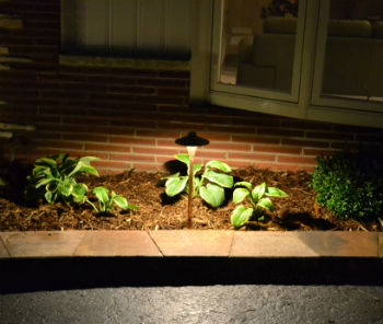 Outdoor lighting system installed by Mequon landscapers
