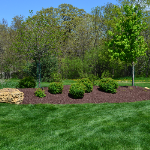 Landscaping services in Mequon and surrounding areas