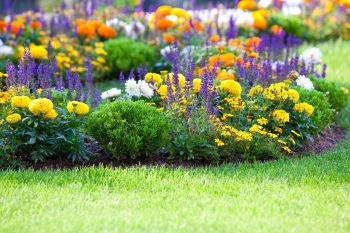 Professional Gardening Services Mequon, WI