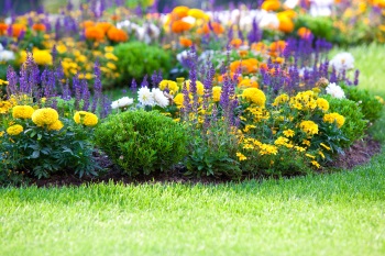Professional Gardening Services Mequon, WI