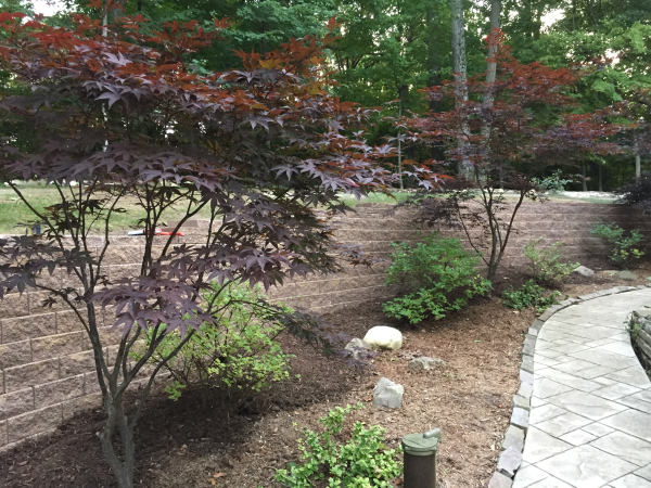 Brick retaining wall for walkway edging builder in Ozaukee County