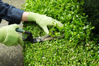 Seasonal Landscape Cleanup in Mequon & Southeast Wisconsin