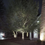 Landscape Lighting in Mequon