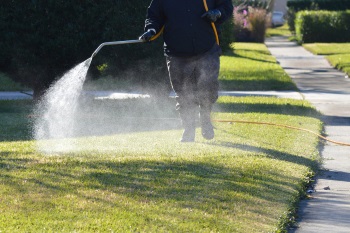 Remove & Prevent Weeds Mequon