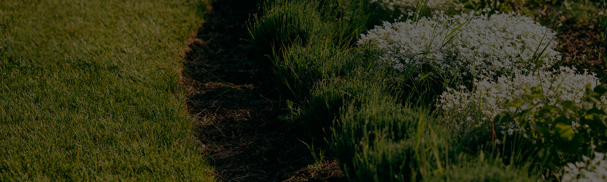 Garden & Flower Bed Edging Services
