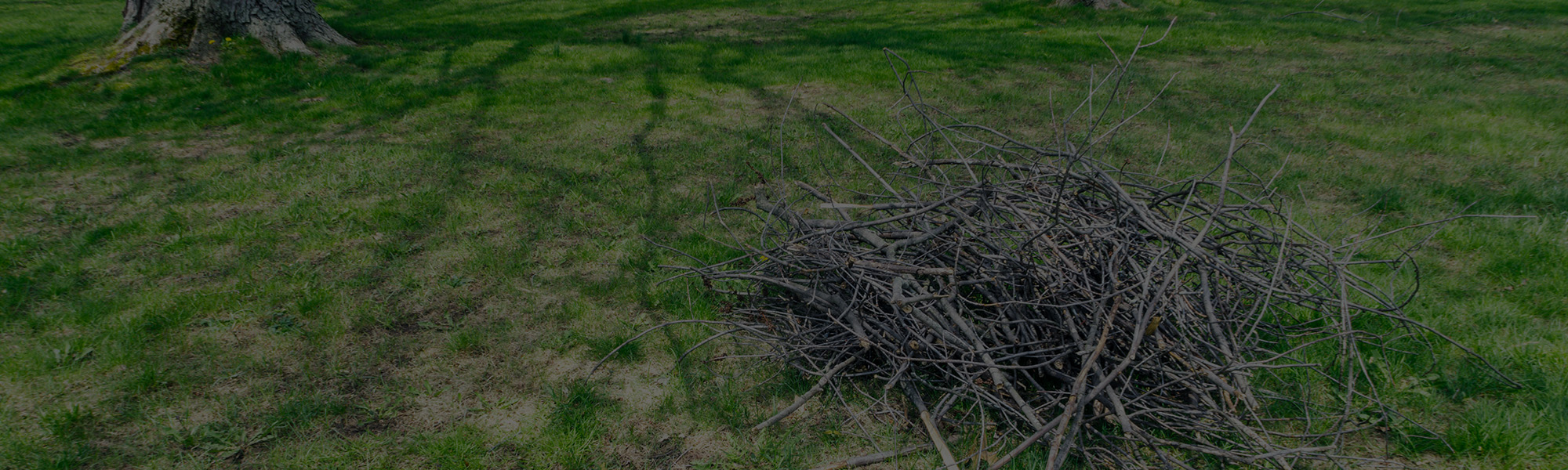Spring and fall landscaping cleanup service in Southeast Wisconsin