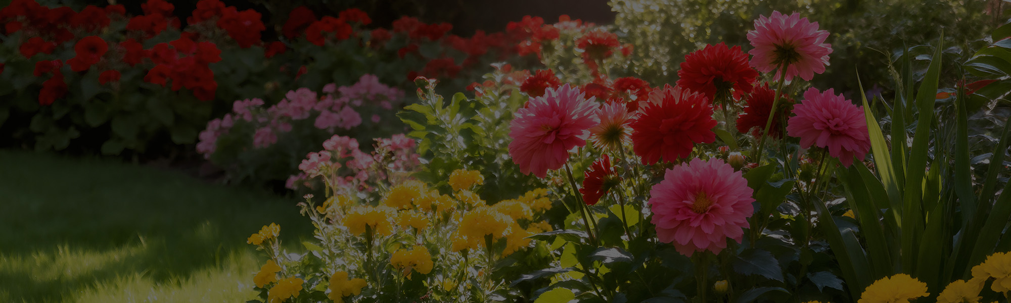 Flower Planting Services Serving Mequon, WI