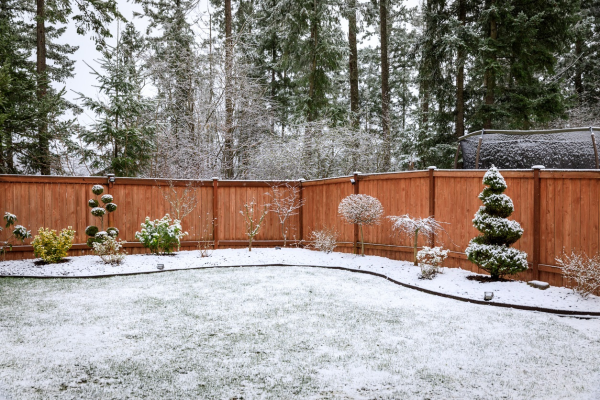 North Shore Winter Tree Protection Landscape Development Snow